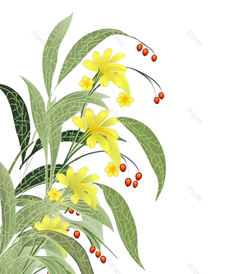 叶子图片,花朵元素,鲜花PNG,花朵素材免抠素材